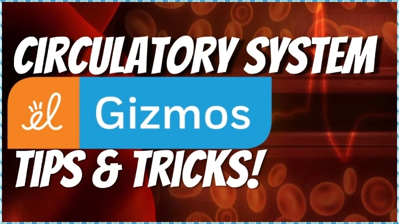 Food Chain Gizmo Answer Key